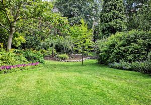 Optimiser l'expérience du jardin à Chateauneuf-de-Randon
